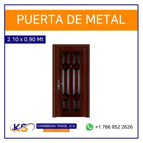 Puerta de Metal 2.10x0.90_3